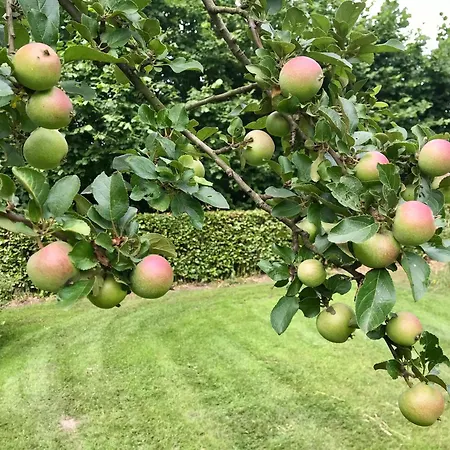 Landhuisje Ter Heide - Charming With Hottub