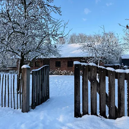 Landhuisje Ter Heide - Charming With Hottub Villa *