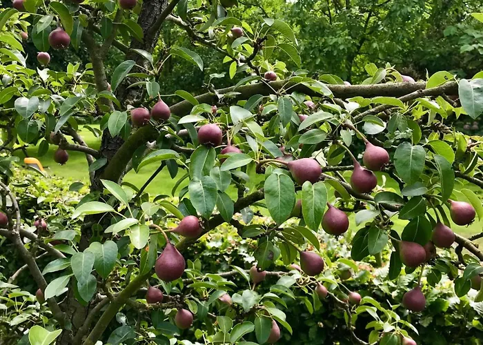 Βίλα Landhuisje Ter Heide - Charming With Hottub De Moer