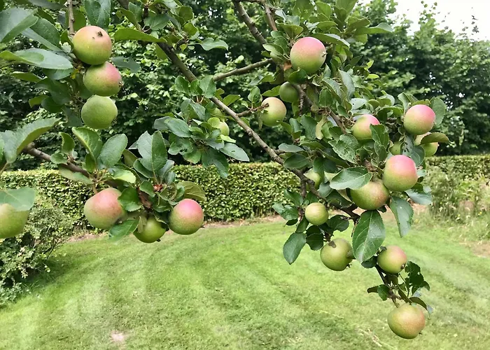 Landhuisje Ter Heide - Charming With Hottub