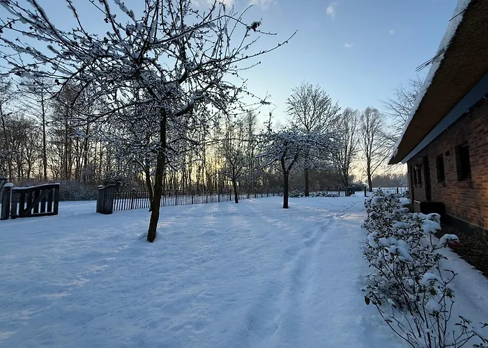 Landhuisje Ter Heide - Charming With Hottub